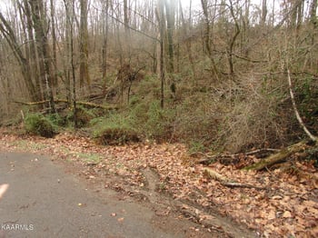 2036 Ridge Rd, Sevierville, TN 37863