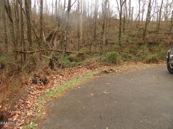 2036 Ridge Rd, Sevierville, TN 37863