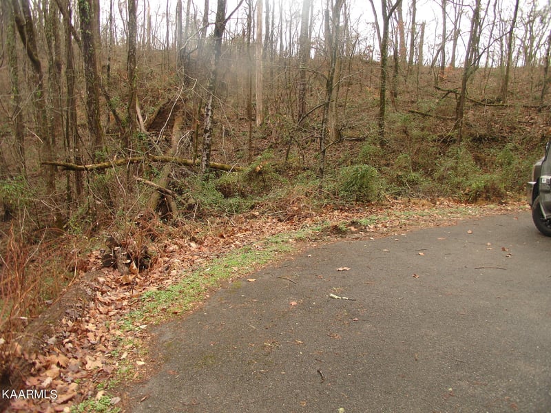 2036 Ridge Rd, Sevierville, TN 37863
