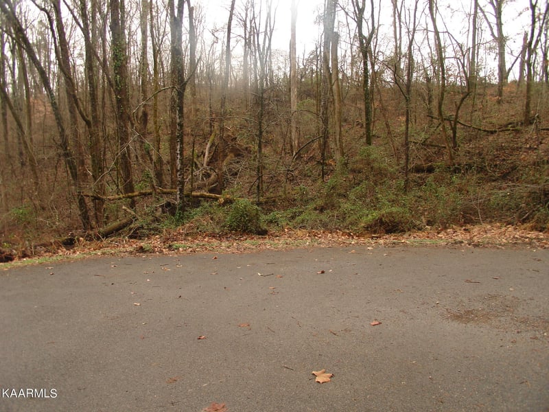 2036 Ridge Rd, Sevierville, TN 37863