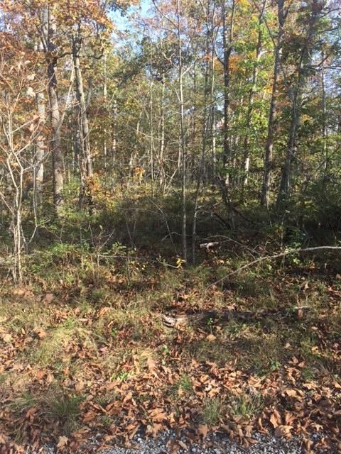 2037 Black Wolf Dr, Crossville, TN 38572