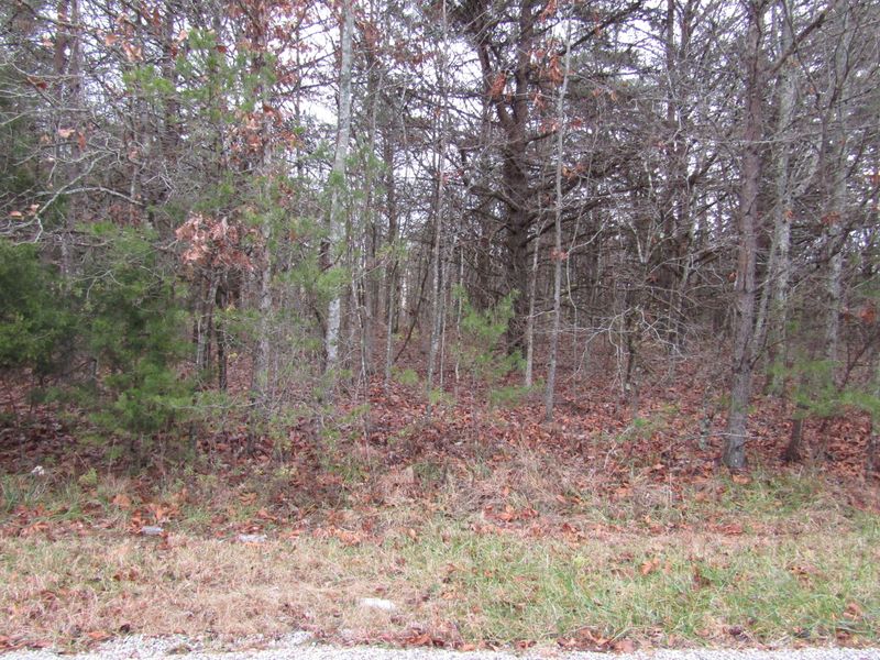 2038 Black Wolf Dr, Crossville, TN 38572