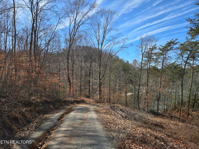 204 Archer Rd, Luttrell, TN 37779