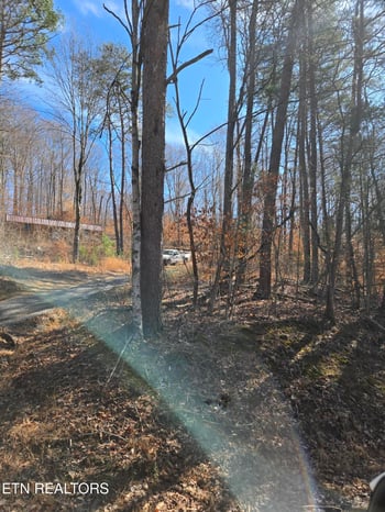 204 Archer Rd, Luttrell, TN 37779