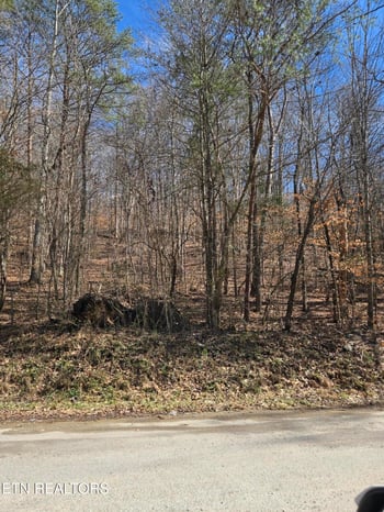 204 Archer Rd, Luttrell, TN 37779