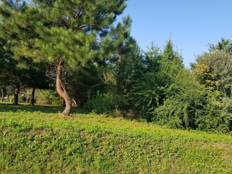 204 Elokwa Tc, Loudon, TN 37774