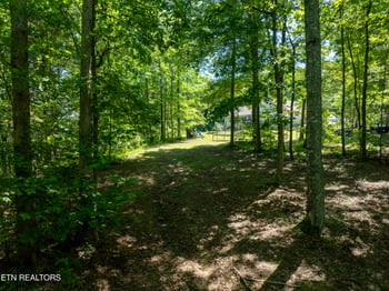 204 Forest Ridge Dr, Harriman, TN 37748