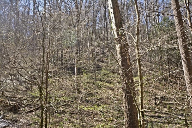 204 Likely Ln, Townsend, TN 37882