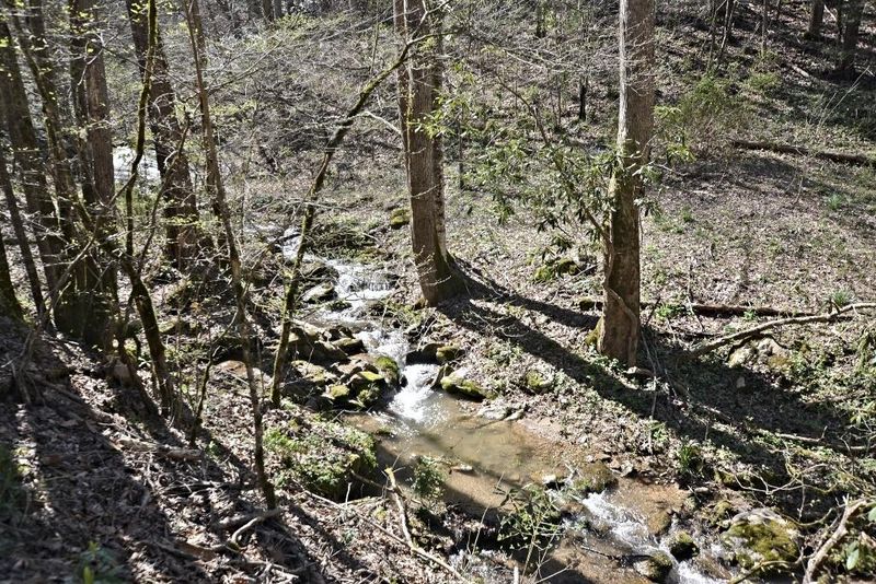 204 Likely Ln, Townsend, TN 37882