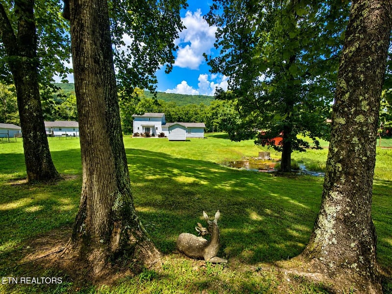 2042 Dutch Valley Rd, Clinton, TN 37716