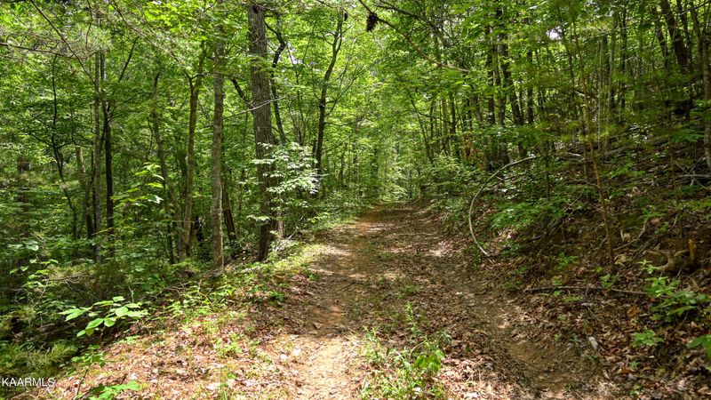 2049 Seagle Hollow Rd, Sevierville, TN 37876