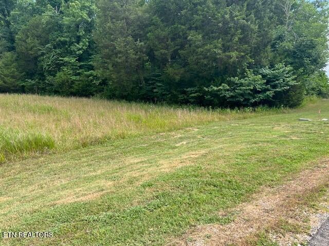 205 Bay Shore Dr, Rockwood, TN 37854