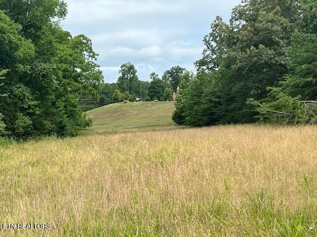 205 Bay Shore Dr, Rockwood, TN 37854