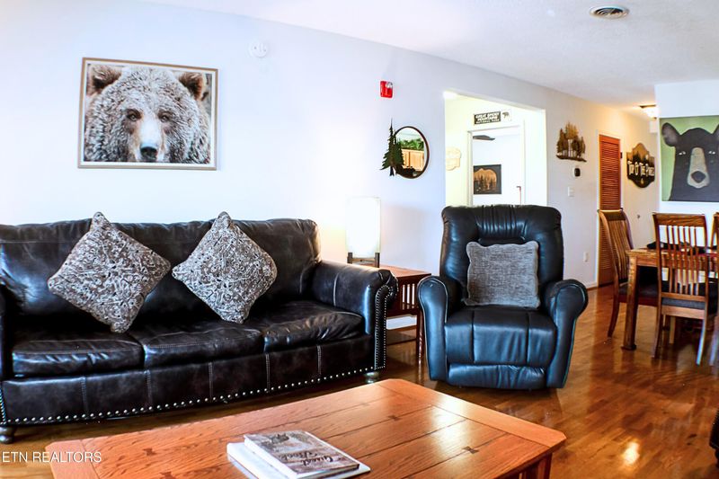 205 Ogle Dr #253, Pigeon Forge, TN 37863
