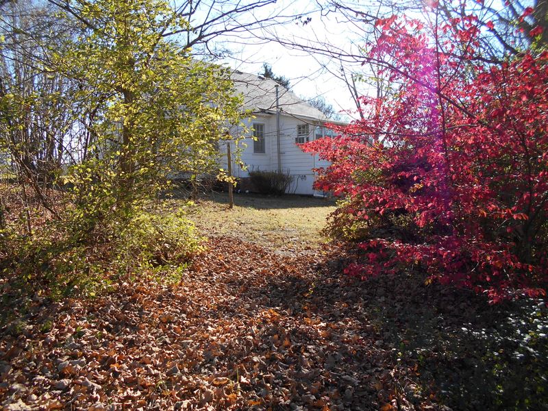 205 Pond Hill Rd, Niota, TN 37826