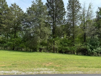 205 W Shore Dr, Rockwood, TN 37854