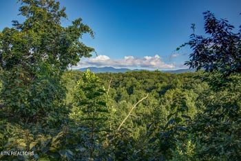 2053 Settlers Ridge Way, Gatlinburg, TN 37738