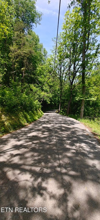 206 Caney Creek Rd, Pigeon Forge, TN 37863