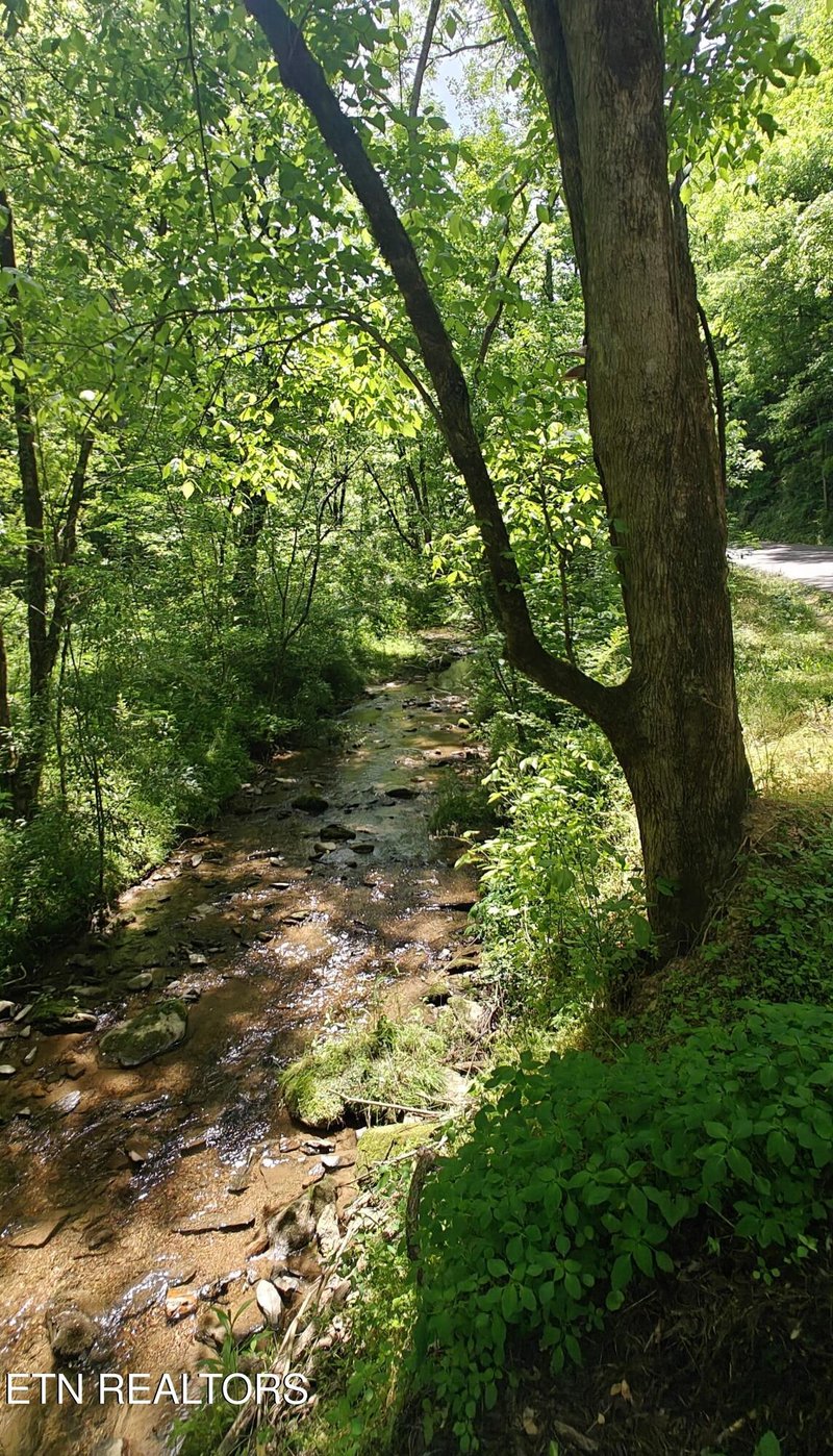 206 Caney Creek Rd, Pigeon Forge, TN 37863
