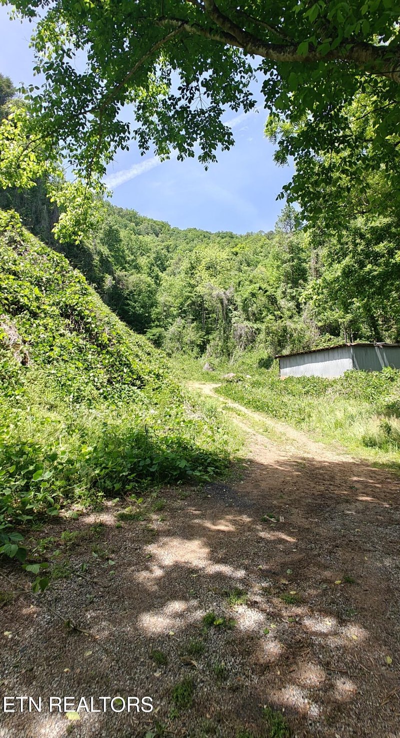 206 Caney Creek Rd, Pigeon Forge, TN 37863