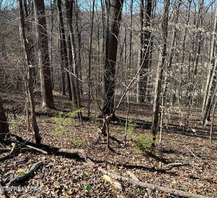 206 Cumberland Vw, Rocky Top, TN 37769