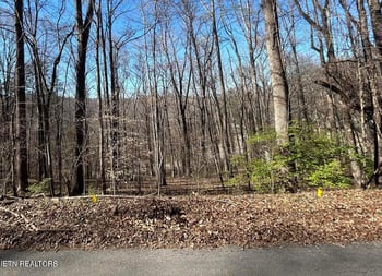206 Cumberland Vw, Rocky Top, TN 37769