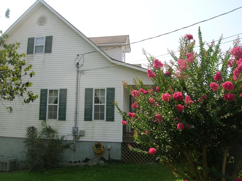 206 Hillcrest Ave, Rocky Top, TN 37769