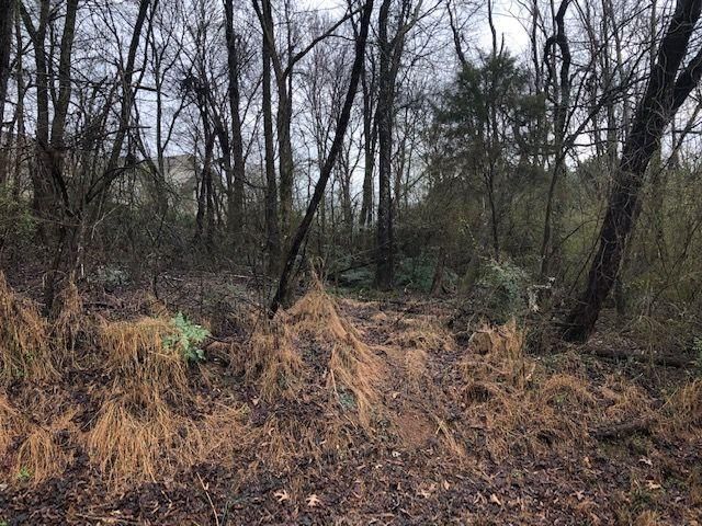 206 Kawga Ln, Loudon, TN 37774