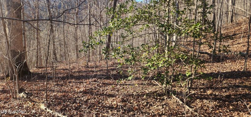 206 Lick Creek Ln, Lafollette, TN 37766