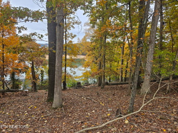 2061 Lakewood Dr, Morristown, TN 37814