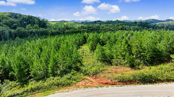 2067 Winding Trl, Vonore, TN 37885