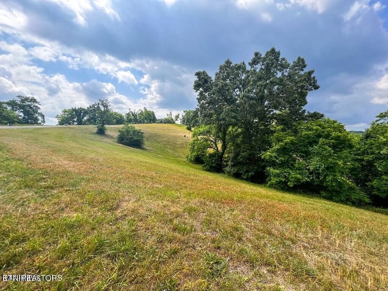 2069 Turners Landing Rd, Russellville, TN 37860