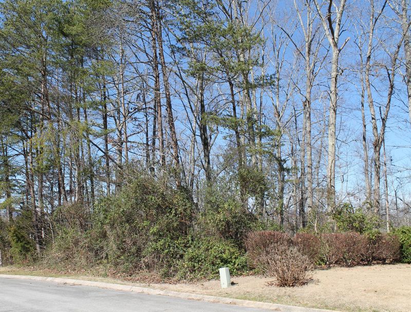 207 Connors Cir, Oak Ridge, TN 37830