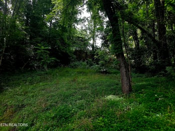 2074 Long Hollow Rd, Lafollette, TN 37766