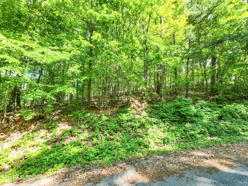 208 Sara Ln, Maynardville, TN 37807