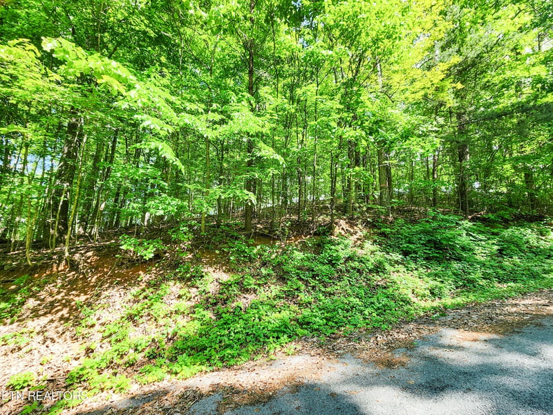 208 Sara Ln, Maynardville, TN 37807