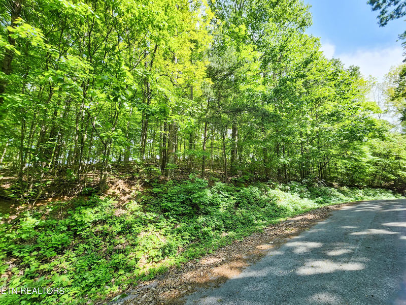 208 Sara Ln, Maynardville, TN 37807