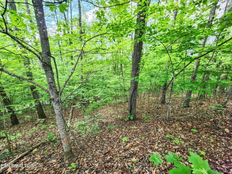 208 Sara Ln, Maynardville, TN 37807