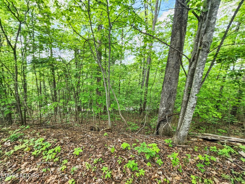 208 Sara Ln, Maynardville, TN 37807