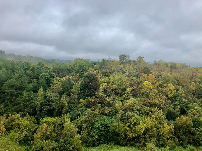 2083 Kerr Rd, Sevierville, TN 37876