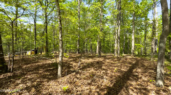 2085 Old Dogwood Tr, Loudon, TN 37774