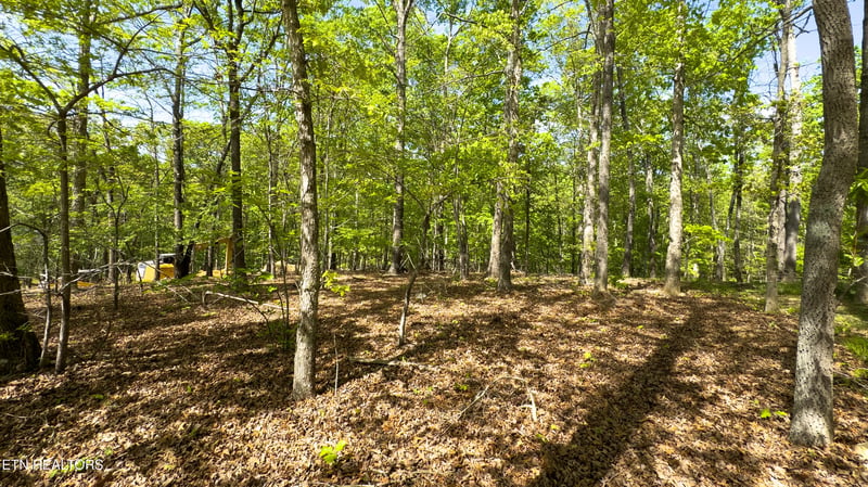 2085 Old Dogwood Tr, Loudon, TN 37774
