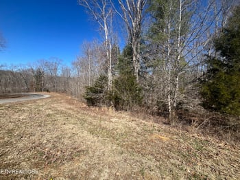 209 Appaloosa Tr, Rockwood, TN 37854