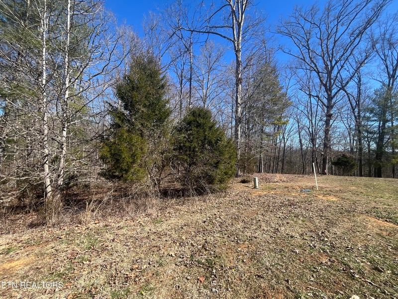 209 Appaloosa Tr, Rockwood, TN 37854