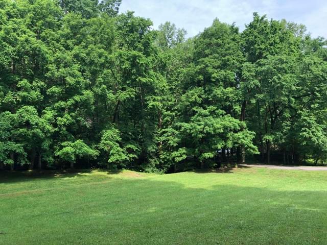 209 Black Mash Hollow Rd, Townsend, TN 37882