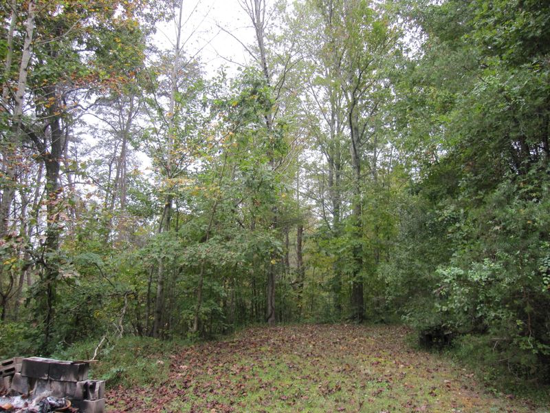 209 Buchannon Ln, Clinton, TN 37716