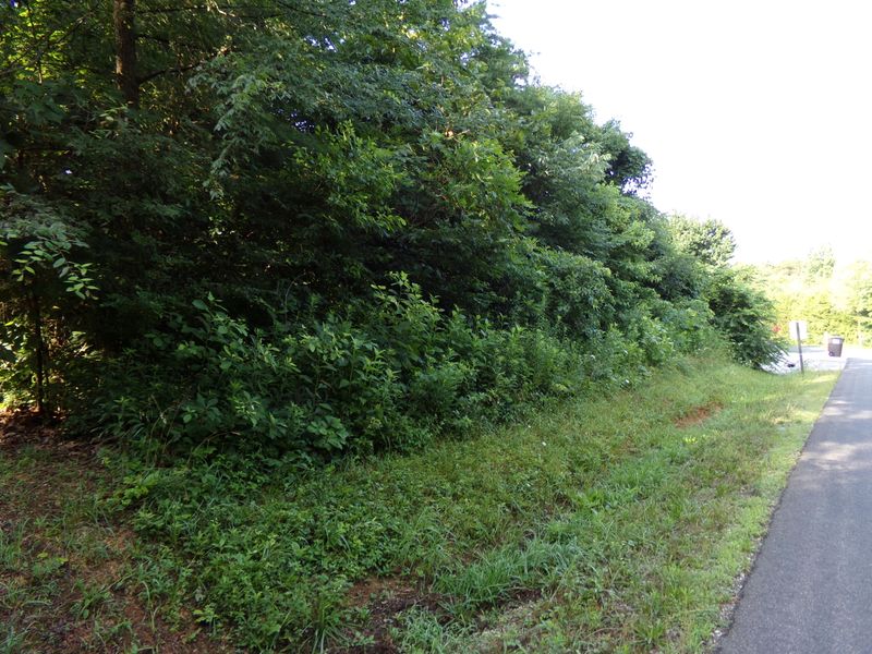 209 Mialaquo Cir, Loudon, TN 37774