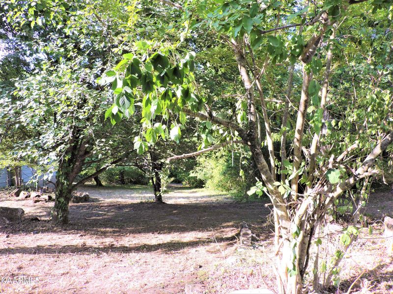 2091 Happy Top Rd, Grandview, TN 37337