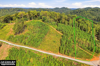 2097 Winding Trail Tr, Vonore, TN 37885