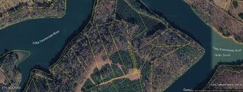 2097 Winding Trail Tr, Vonore, TN 37885